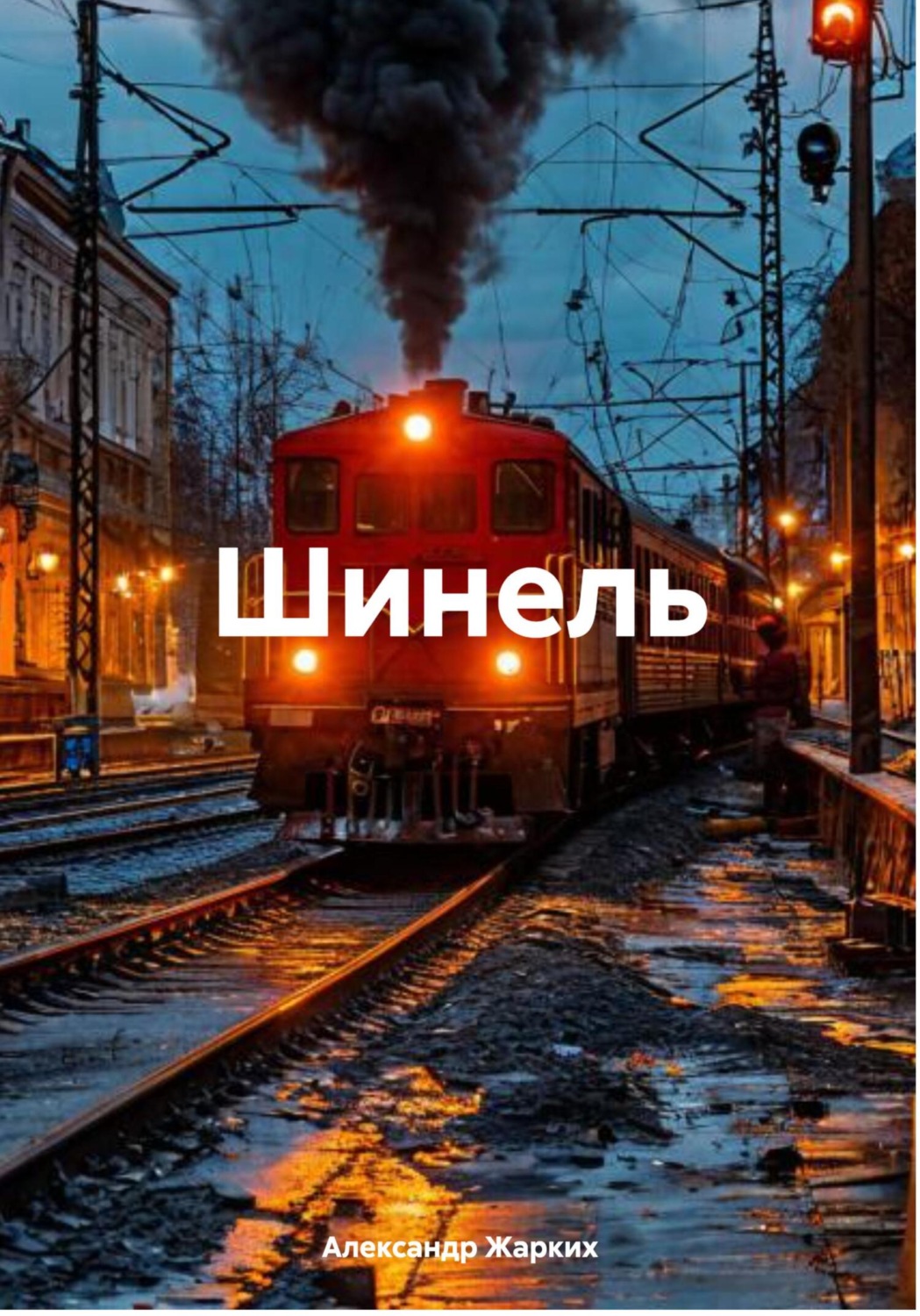 Обложка книги «Шинель»