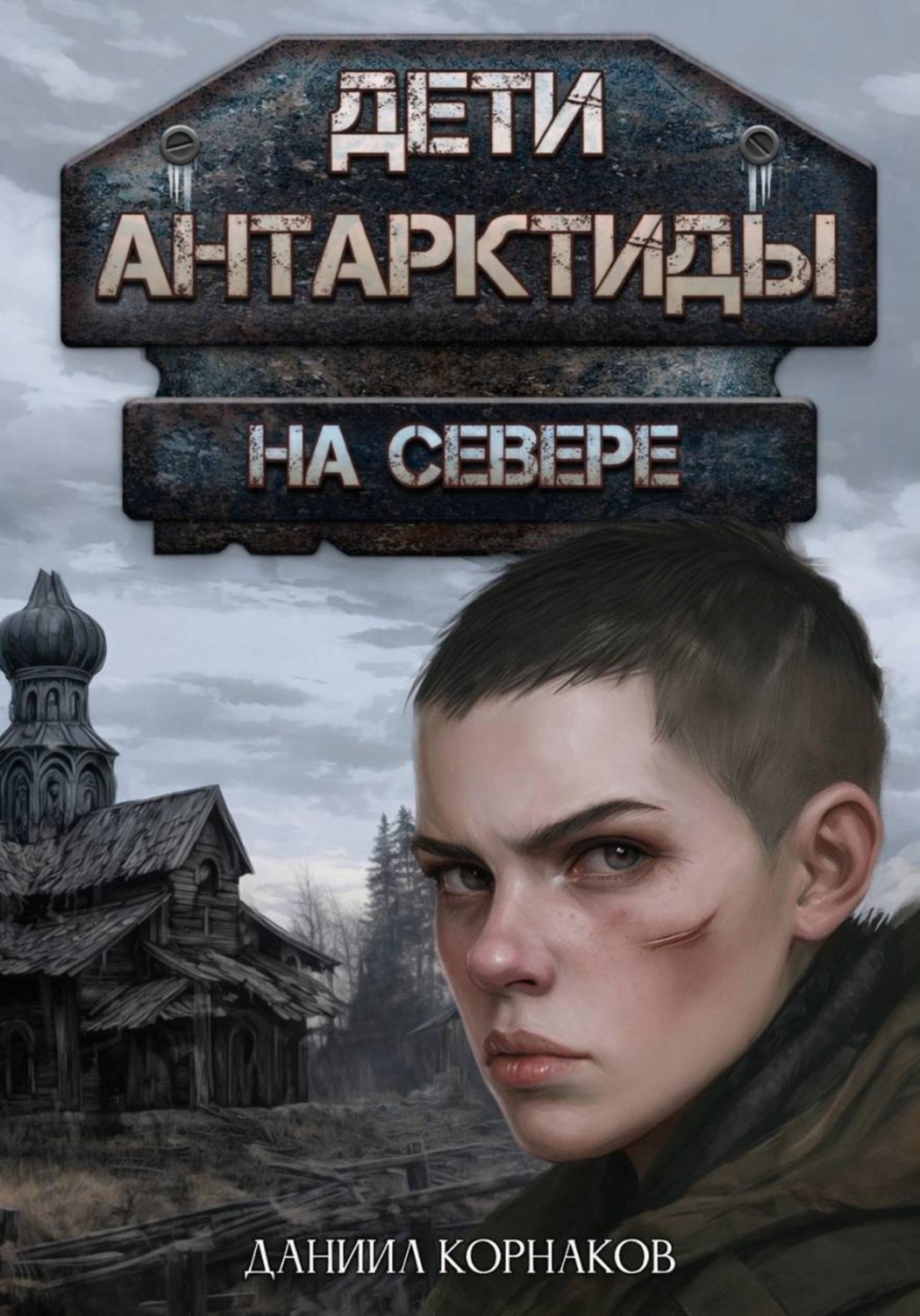 Обложка книги «Дети Антарктиды. На севере»