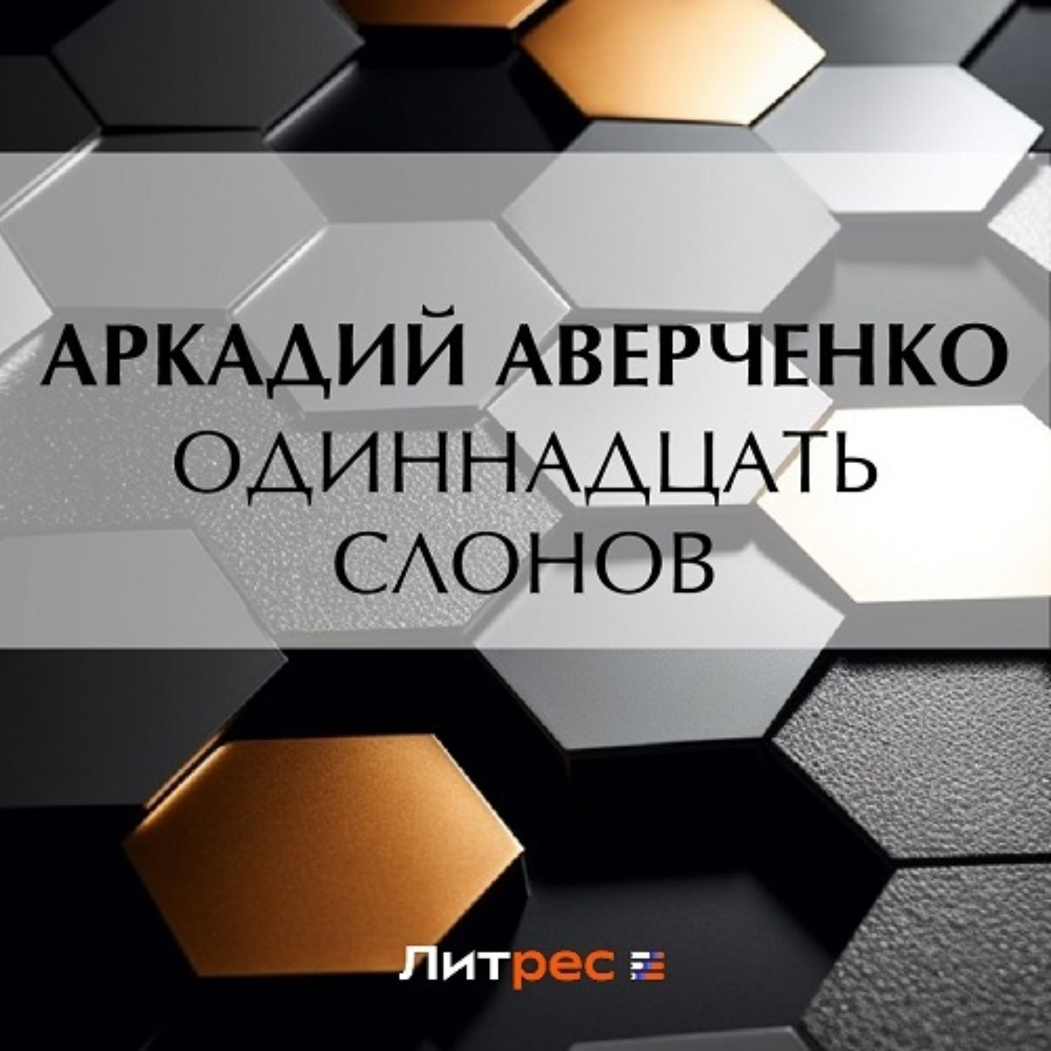 Обложка книги «Одиннадцать слонов»
