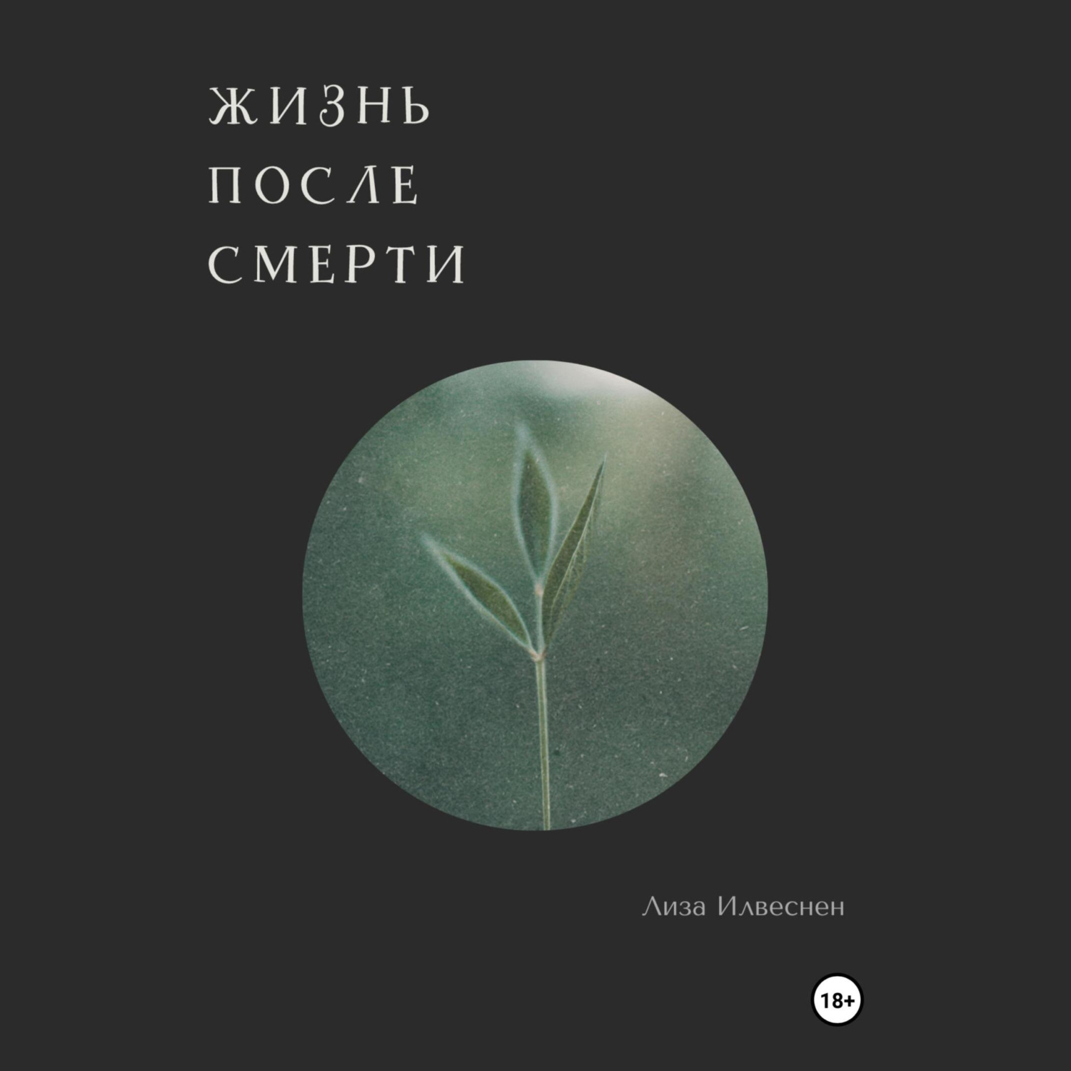 Обложка книги «Жизнь после смерти»