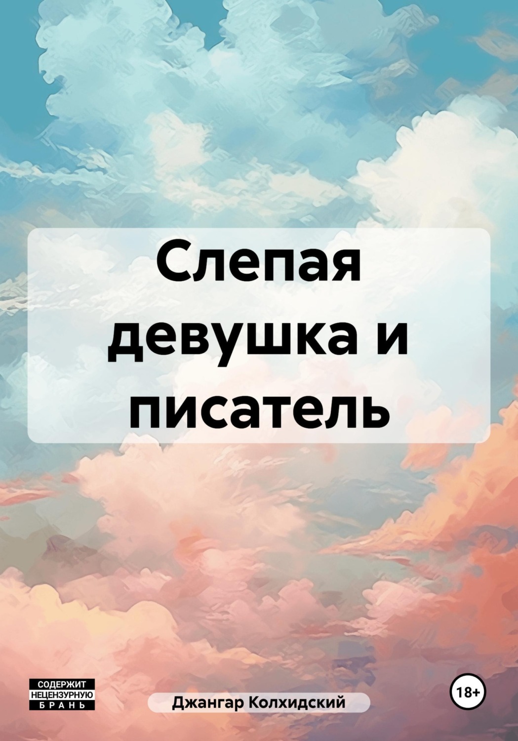 Обложка книги «Слепая девушка и писатель»