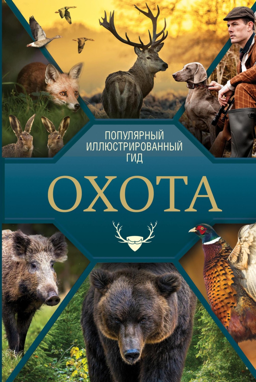 Обложка книги «Охота. Популярный иллюстрированный гид»