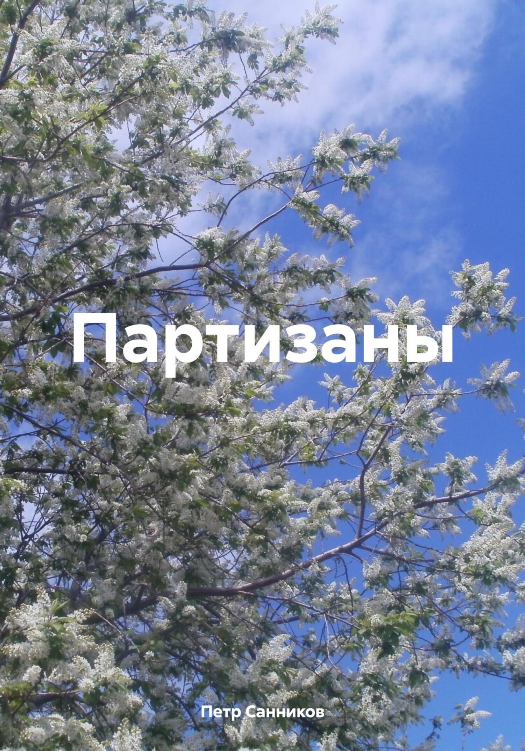 Обложка книги «Партизаны»