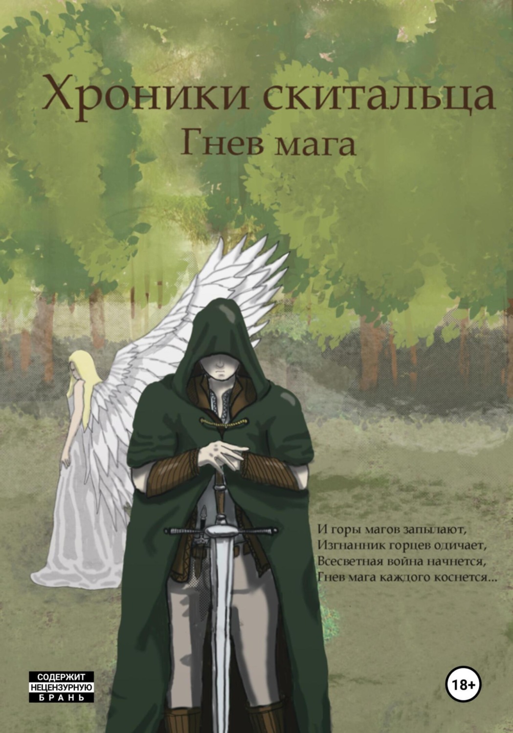 Обложка книги «Хроники Скитальца: Гнев мага»
