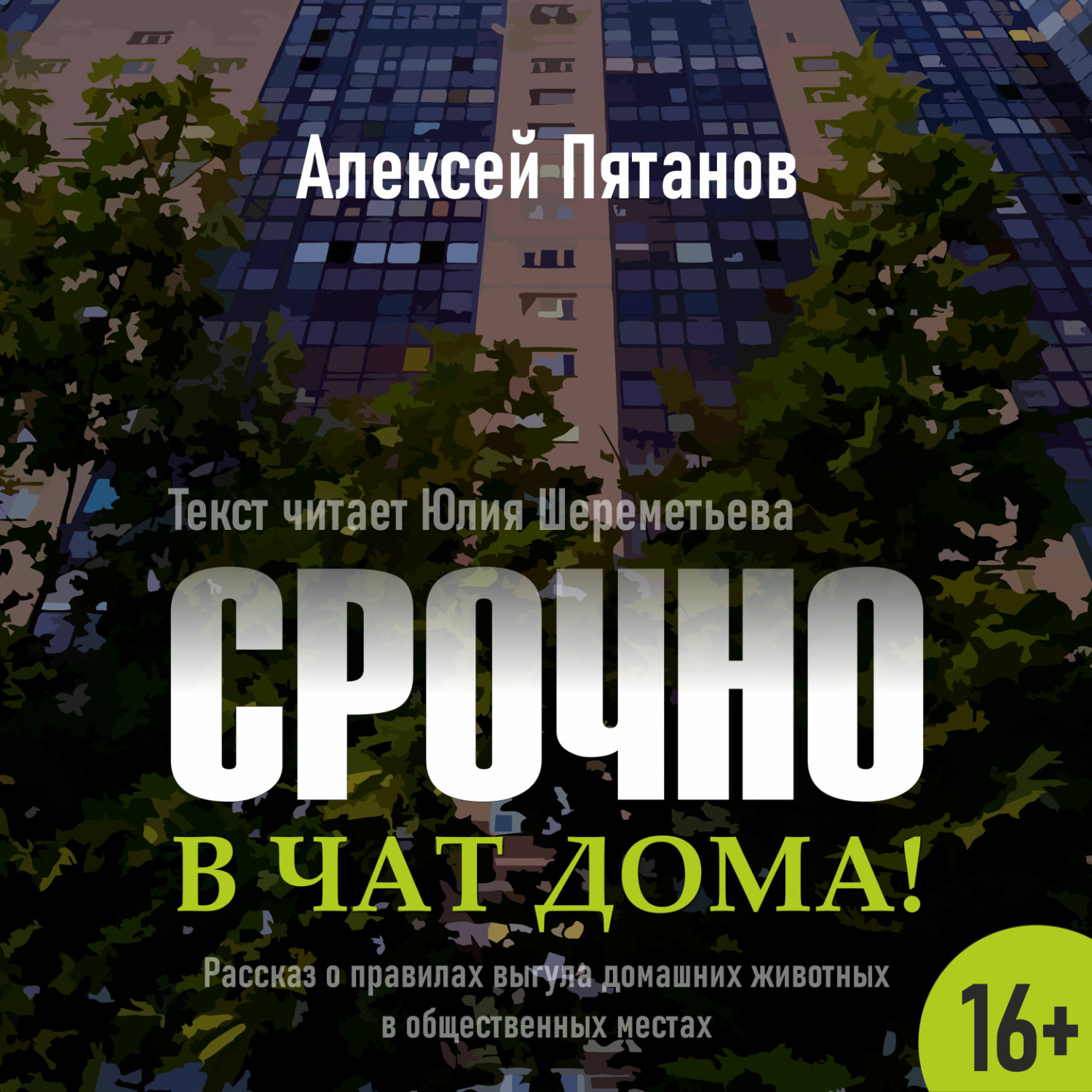Обложка книги «Срочно в чат дома!»