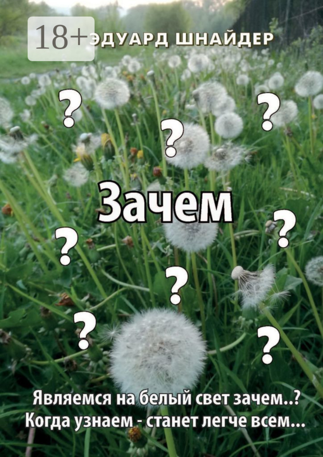Обложка книги «Зачем. Являемся на белый свет зачем..? Когда узнаем – станет легче всем…»