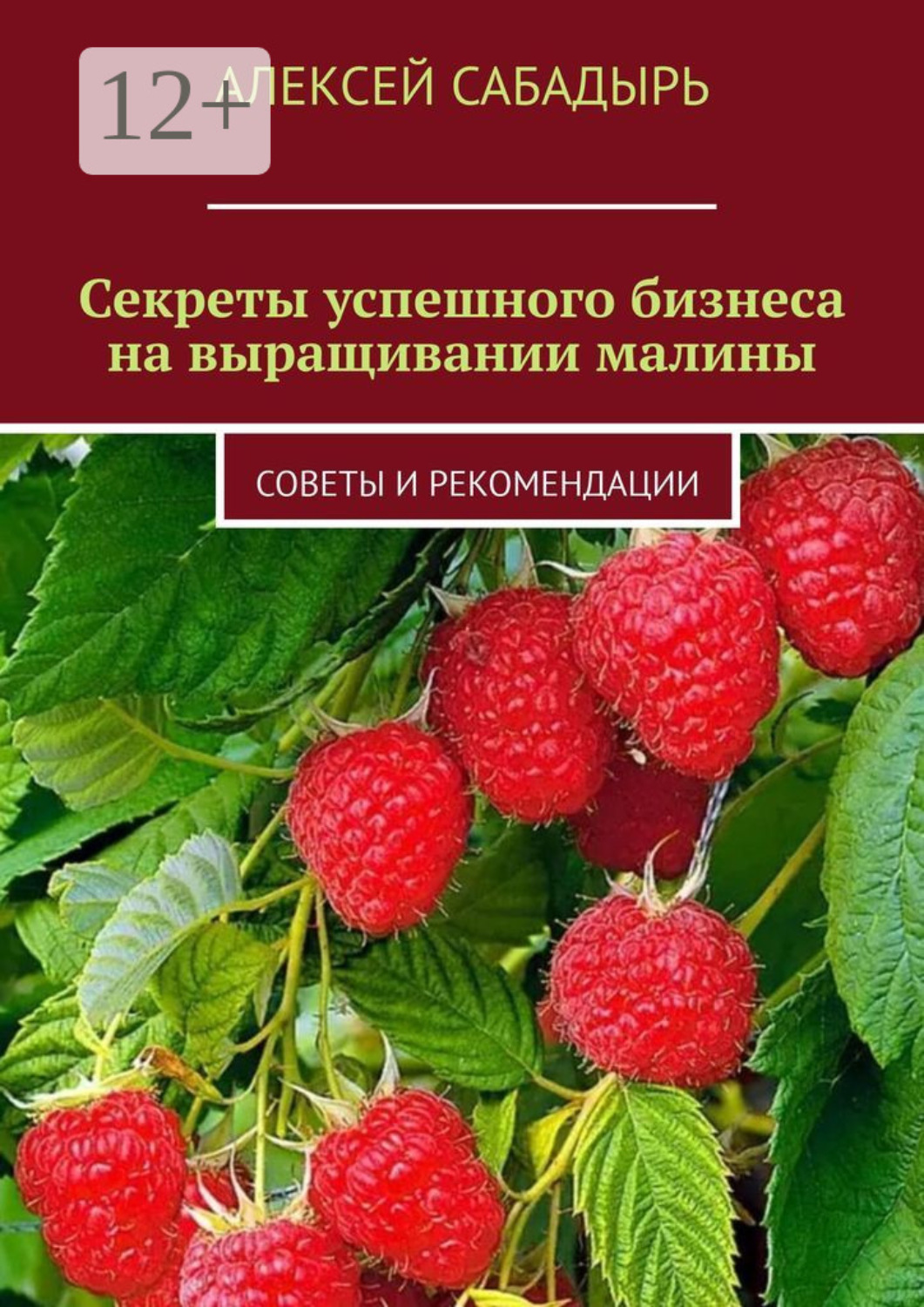 Обложка книги «Секреты успешного бизнеса на выращивании малины. Советы и рекомендации»