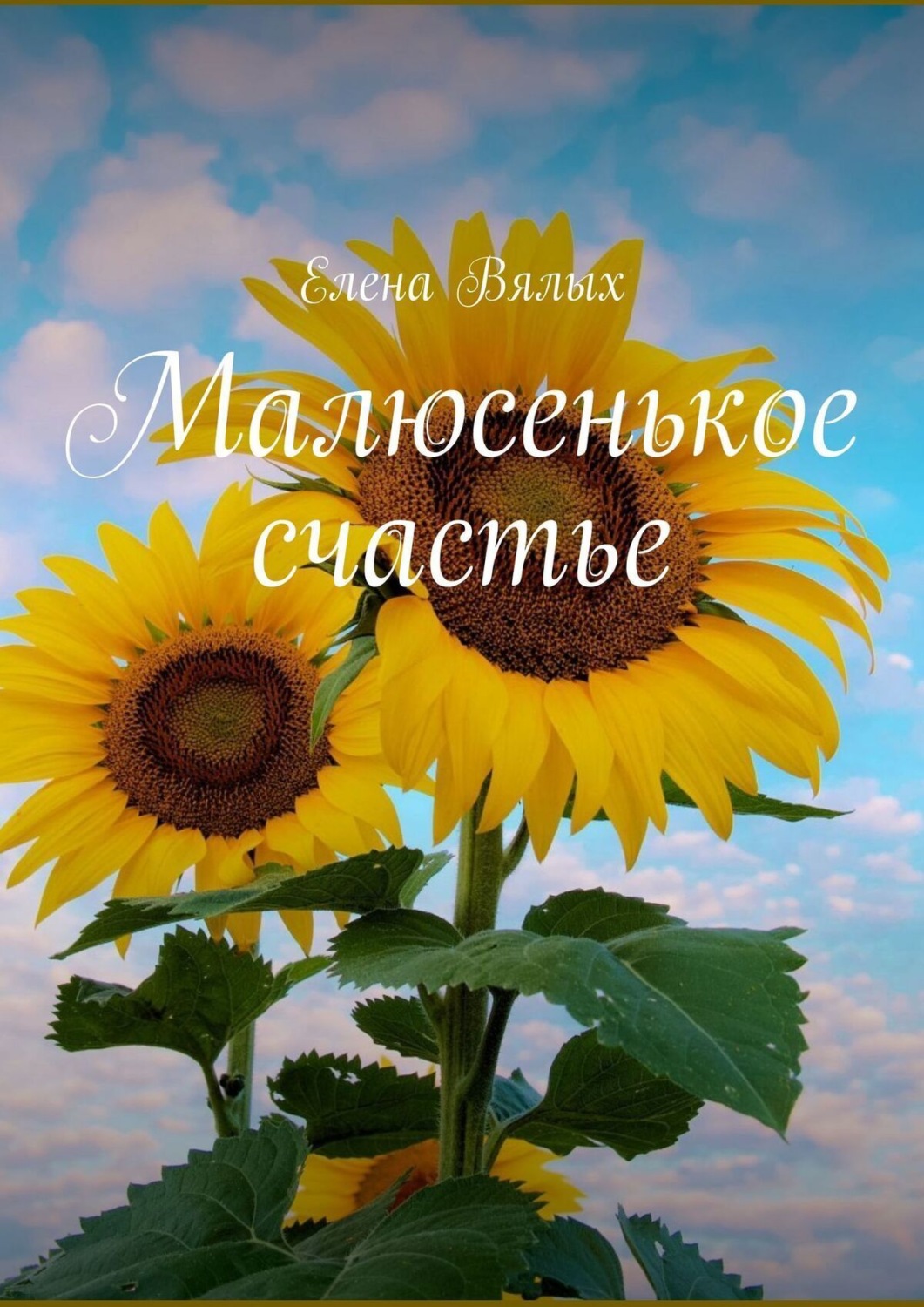 Обложка книги «Малюсенькое счастье»