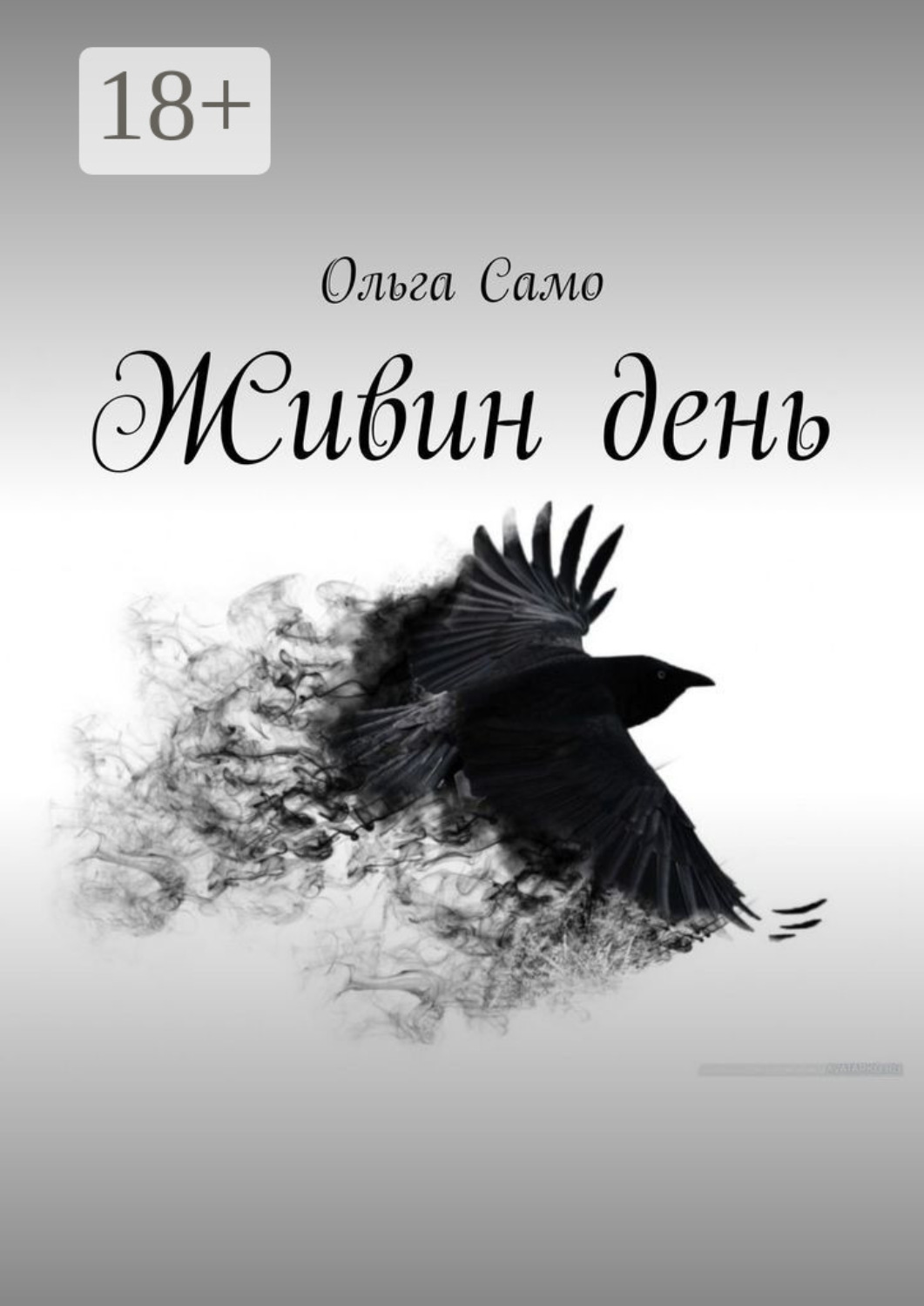 Обложка книги «Живин день»