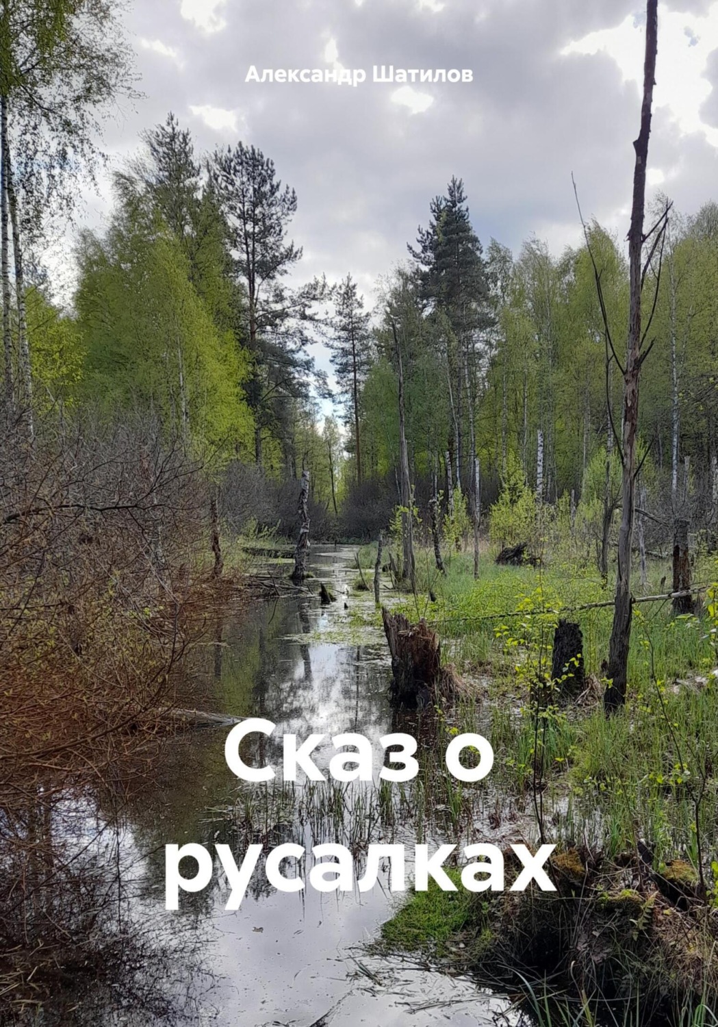 Обложка книги «Сказ о русалках»