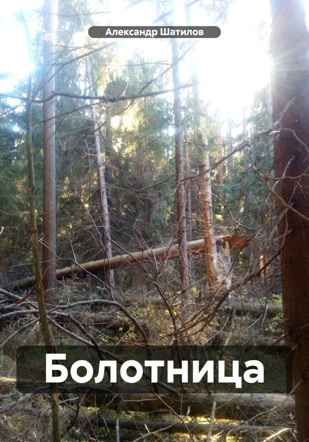 Обложка книги «Болотница»