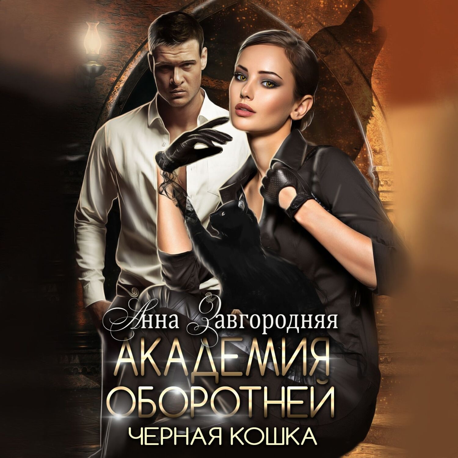 Обложка книги «Академия оборотней. Черная кошка»