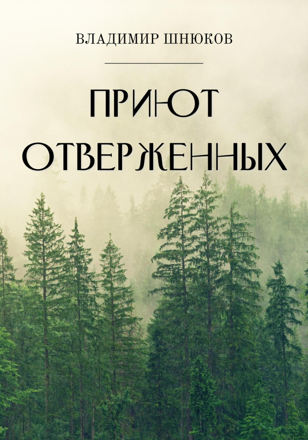 Обложка книги «Приют отверженных»