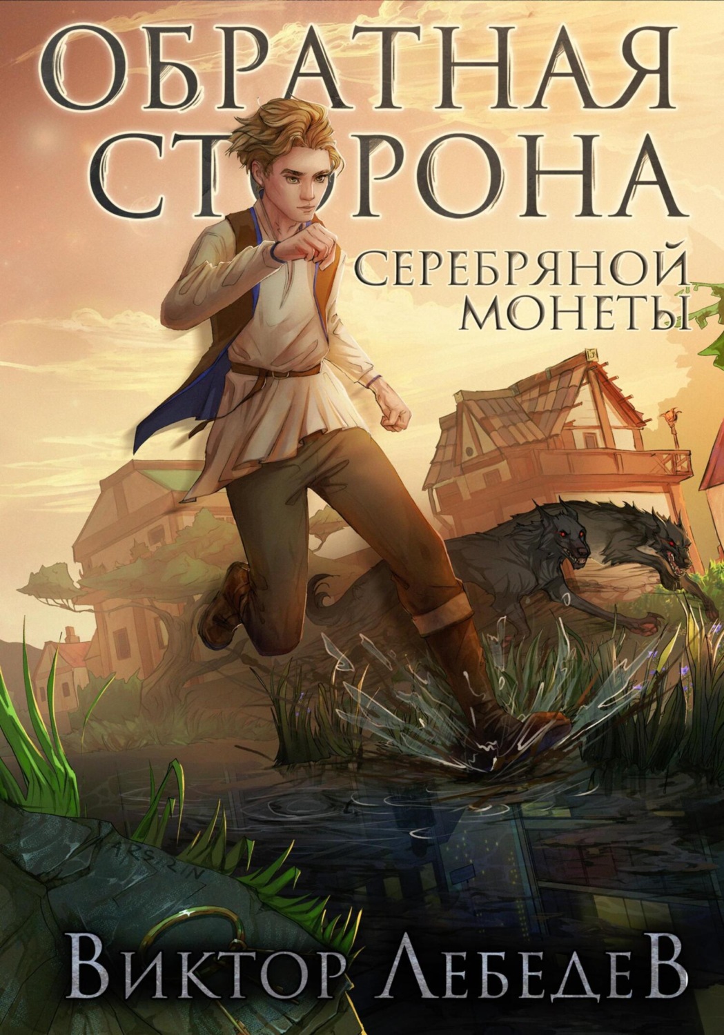 Обложка книги «Обратная сторона серебряной монеты»