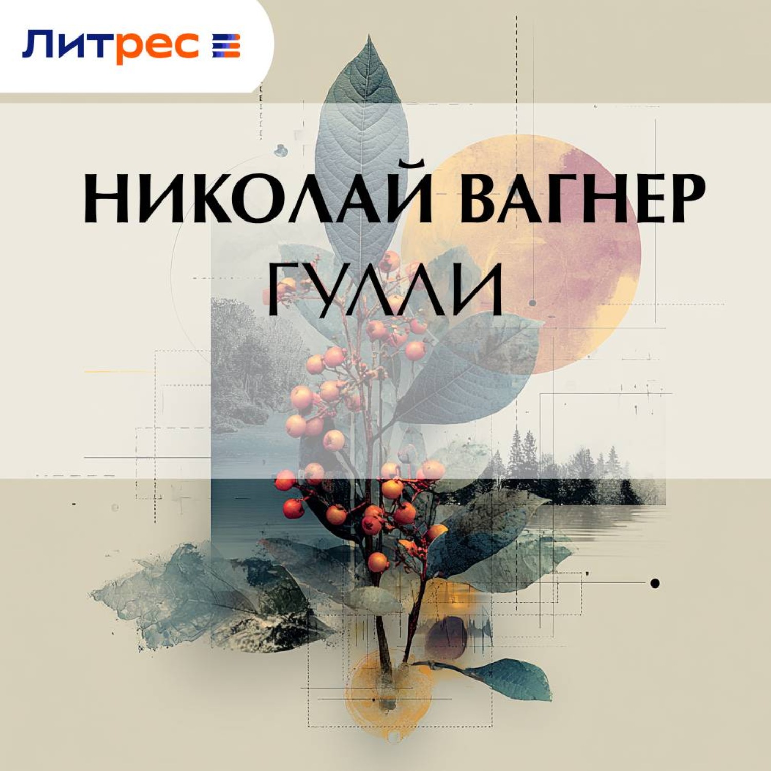 Обложка книги «Гулли»
