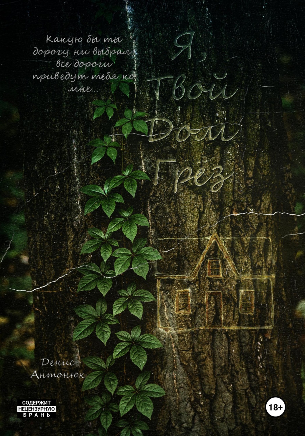 Обложка книги «Я, твой дом грёз»