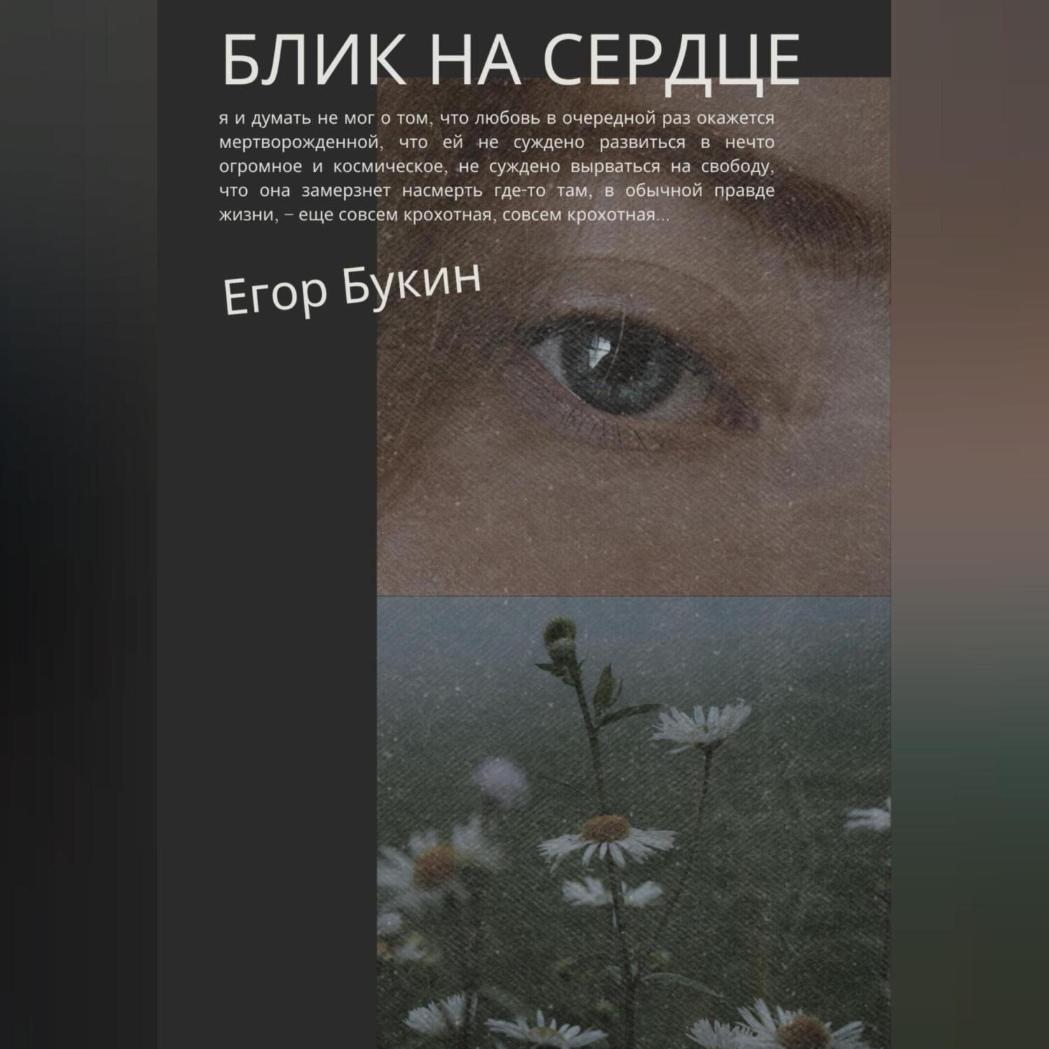 Обложка книги «Блик на сердце»