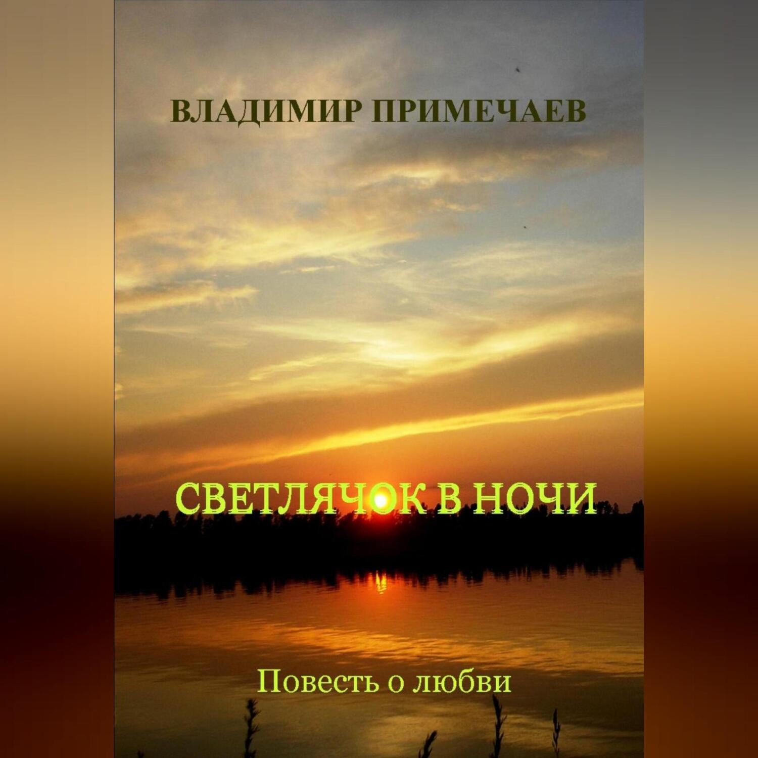 Обложка книги «Светлячок в ночи»