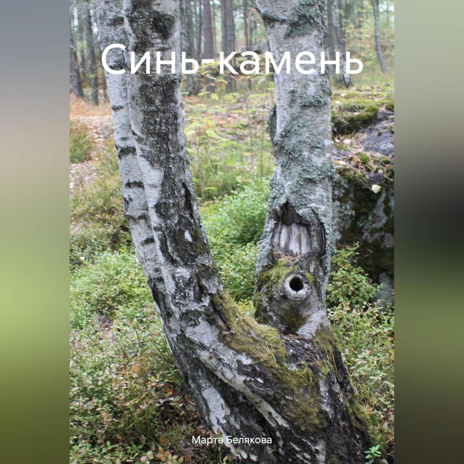 Обложка книги «Синь-камень»