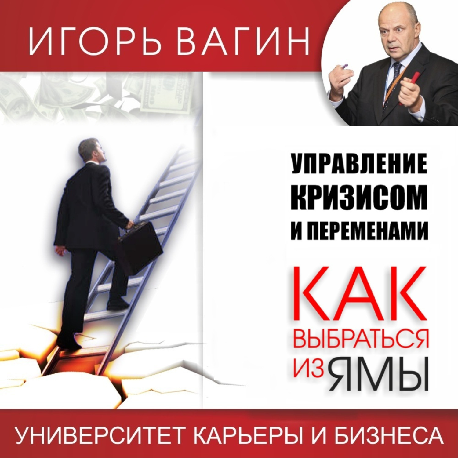 Обложка книги «Управление кризисом и переменами. Как выбраться из ямы»