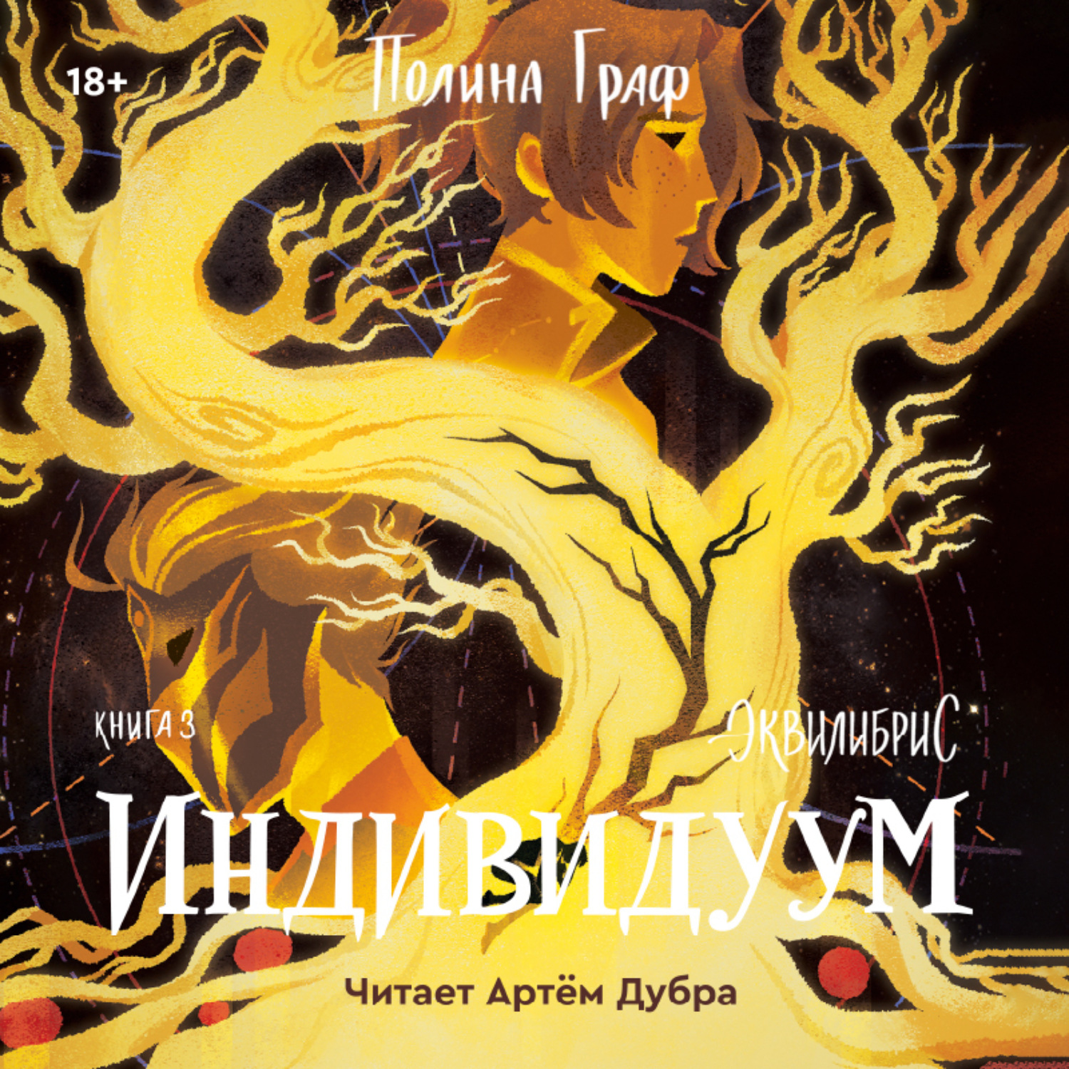 Обложка книги «Индивидуум»