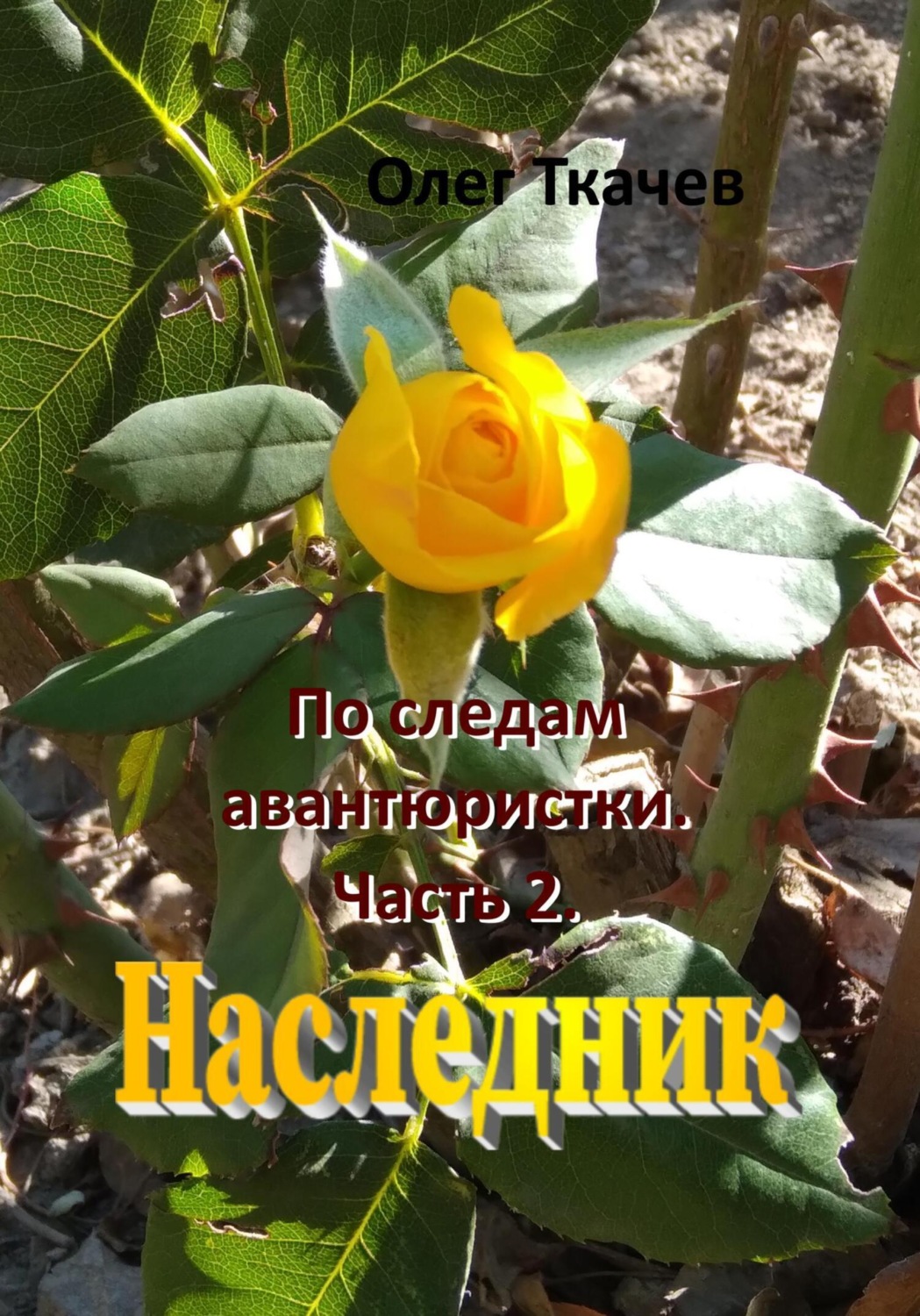 Обложка книги «По следам авантюристки. Часть 2. Наследник»