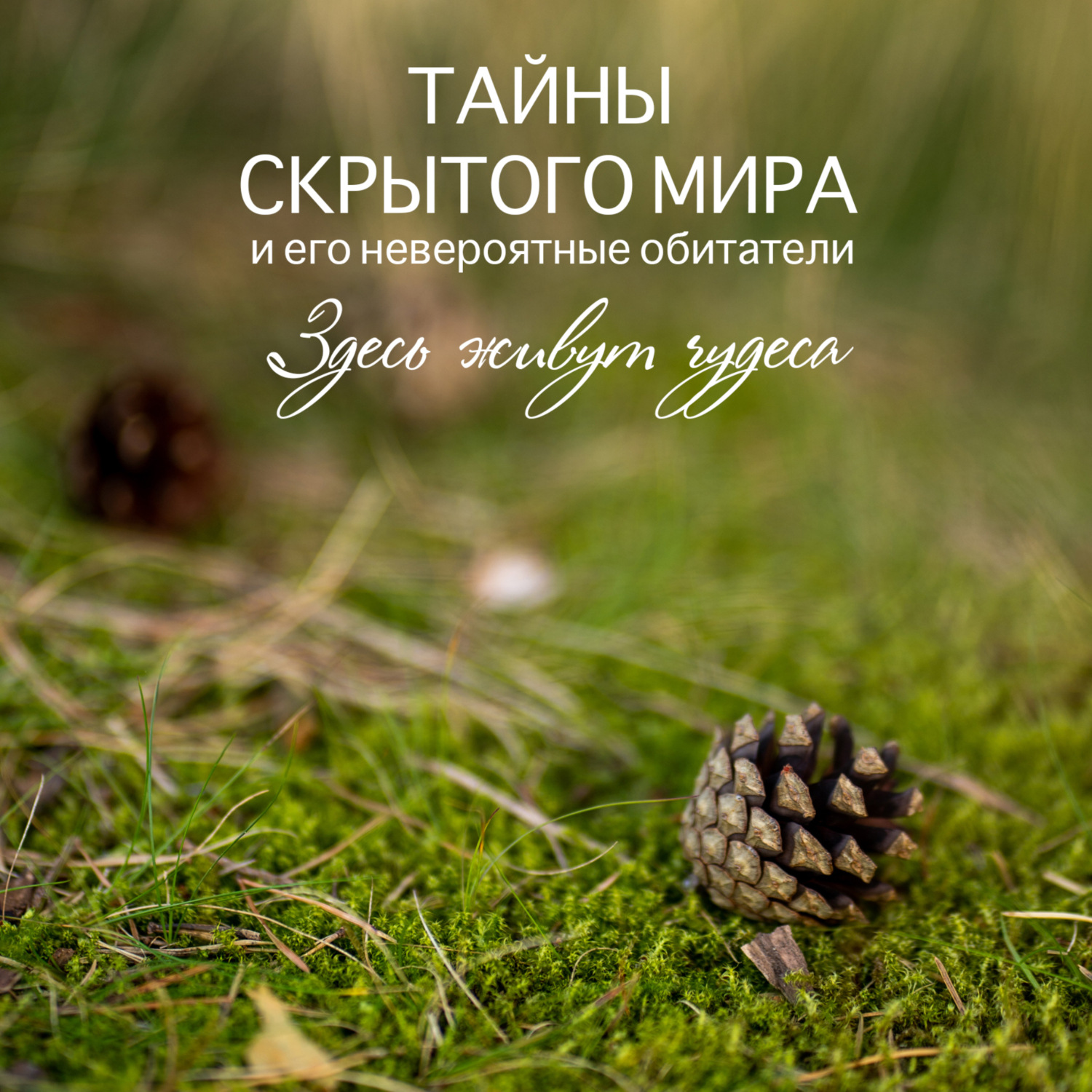Обложка книги «Тайны скрытого мира и его невероятные обитатели. Здесь живут чудеса.»