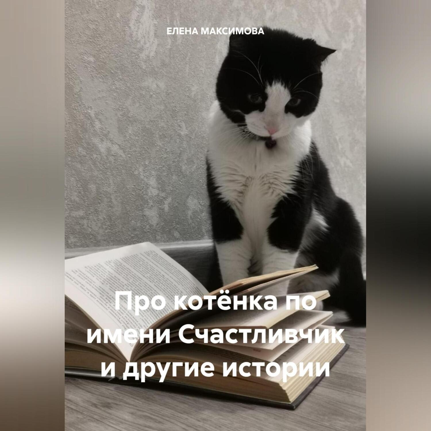 Обложка книги «Про котёнка по имени Счастливчик и другие истории»