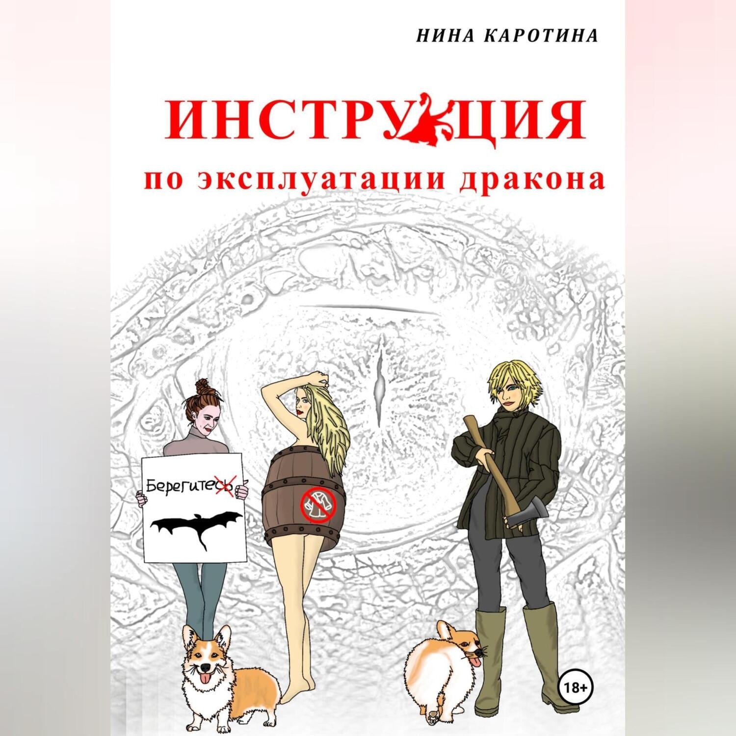 Обложка книги «Инструкция по эксплуатации дракона»
