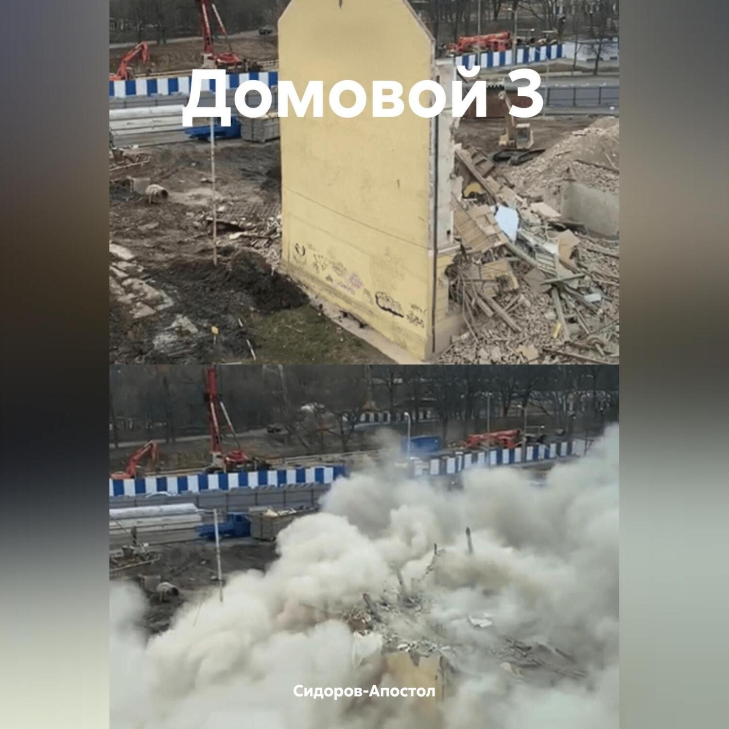Обложка книги «Домовой 3»