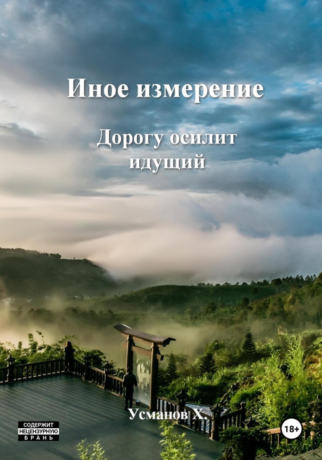 Обложка книги «Иное измерение. Дорогу осилит идущий»