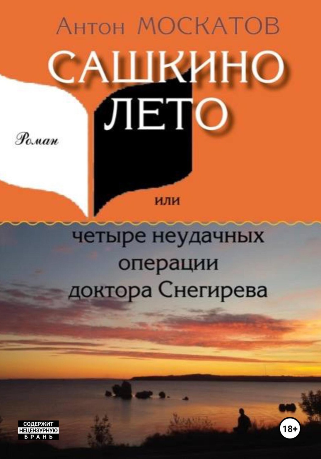 Обложка книги «Сашкино лето, или Четыре неудачных операции доктора Снегирева»