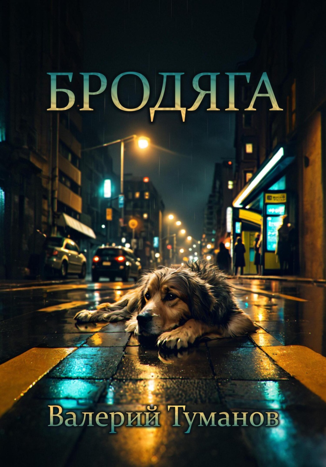Обложка книги «Бродяга»