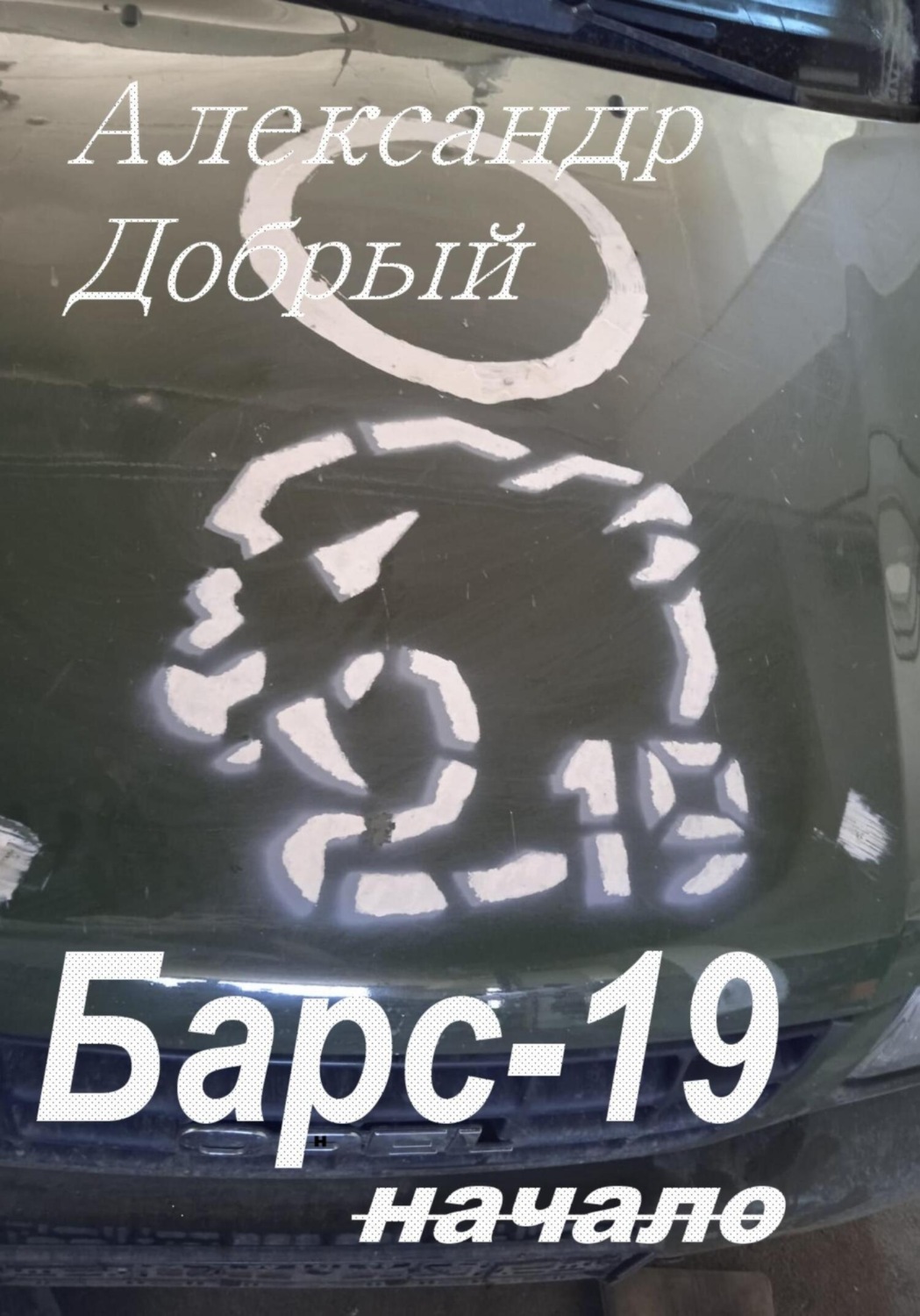 Обложка книги «Барс-19. Начало»