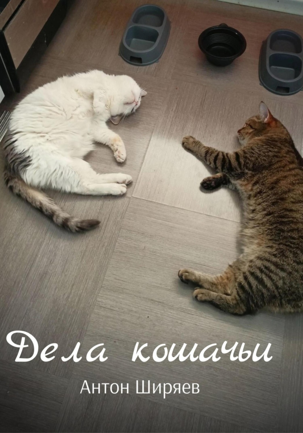 Обложка книги «Дела кошачьи»