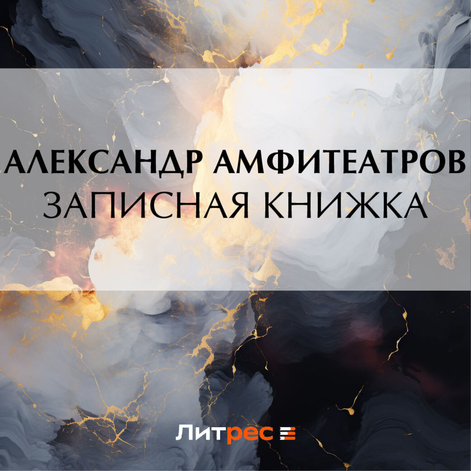 Обложка книги «Записная книжка»