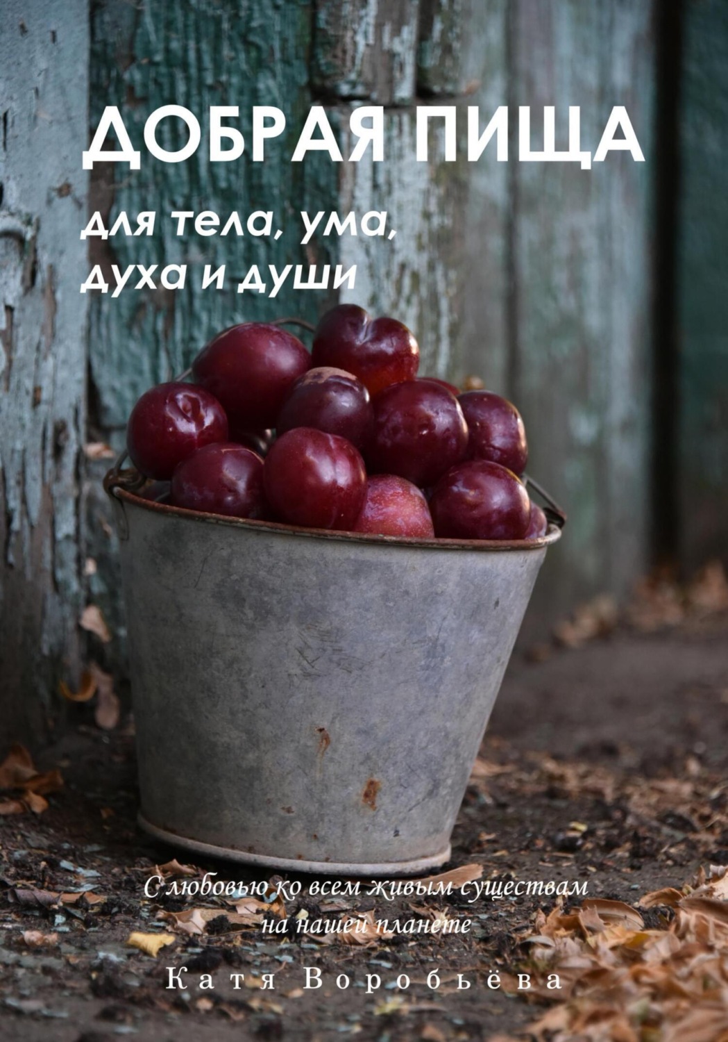 Обложка книги «Добрая пища для тела, ума, духа и души»