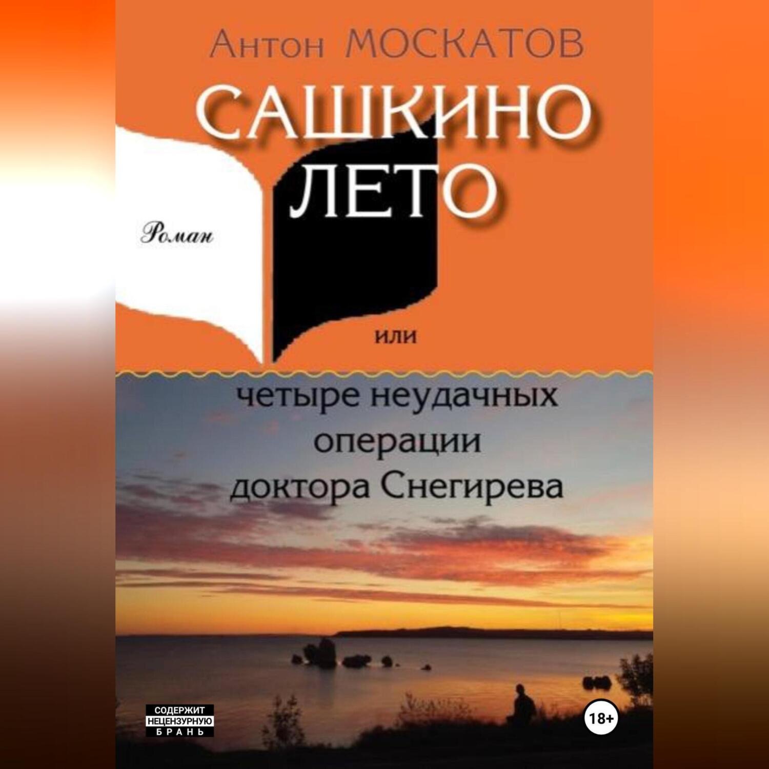 Обложка книги «Сашкино лето, или Четыре неудачных операции доктора Снегирева»