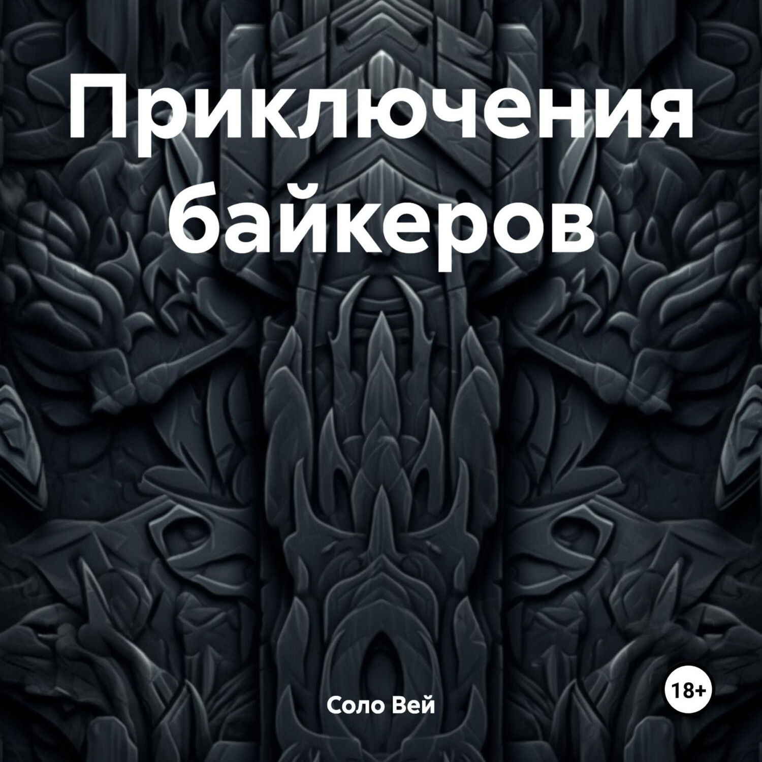 Обложка книги «Приключения байкеров»