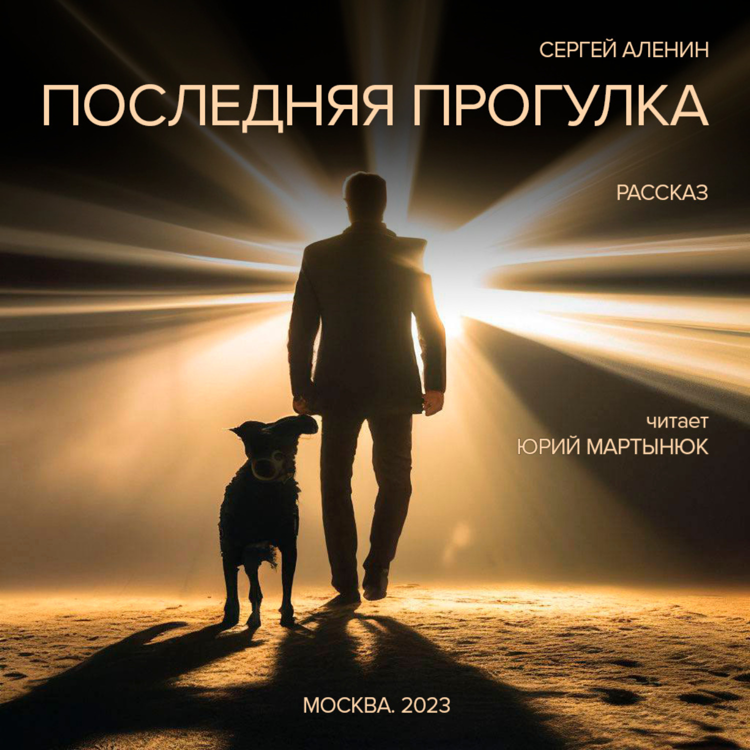Обложка книги «Последняя прогулка»