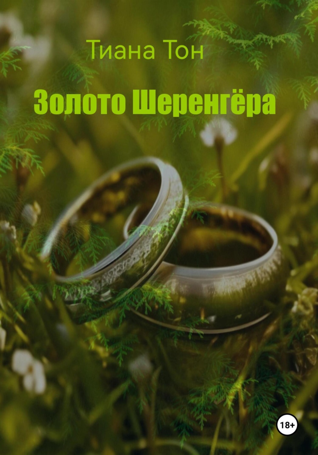 Обложка книги «Золото Шеренгёра»