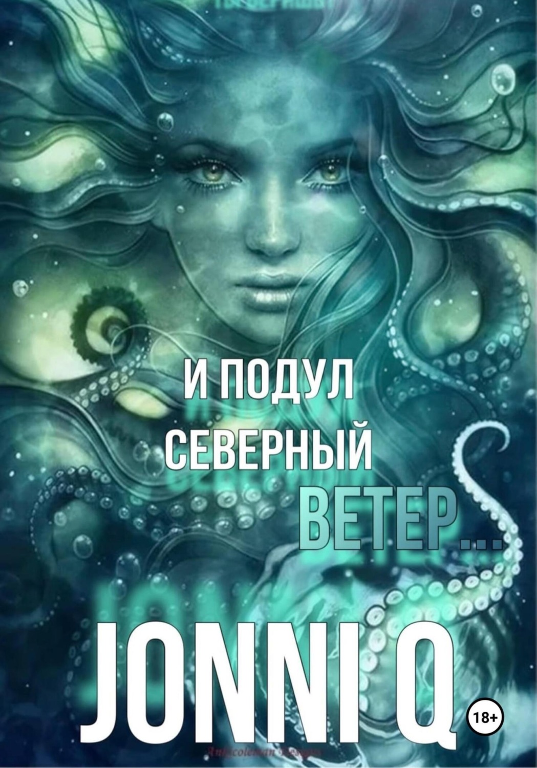 Обложка книги «И подул северный ветер»