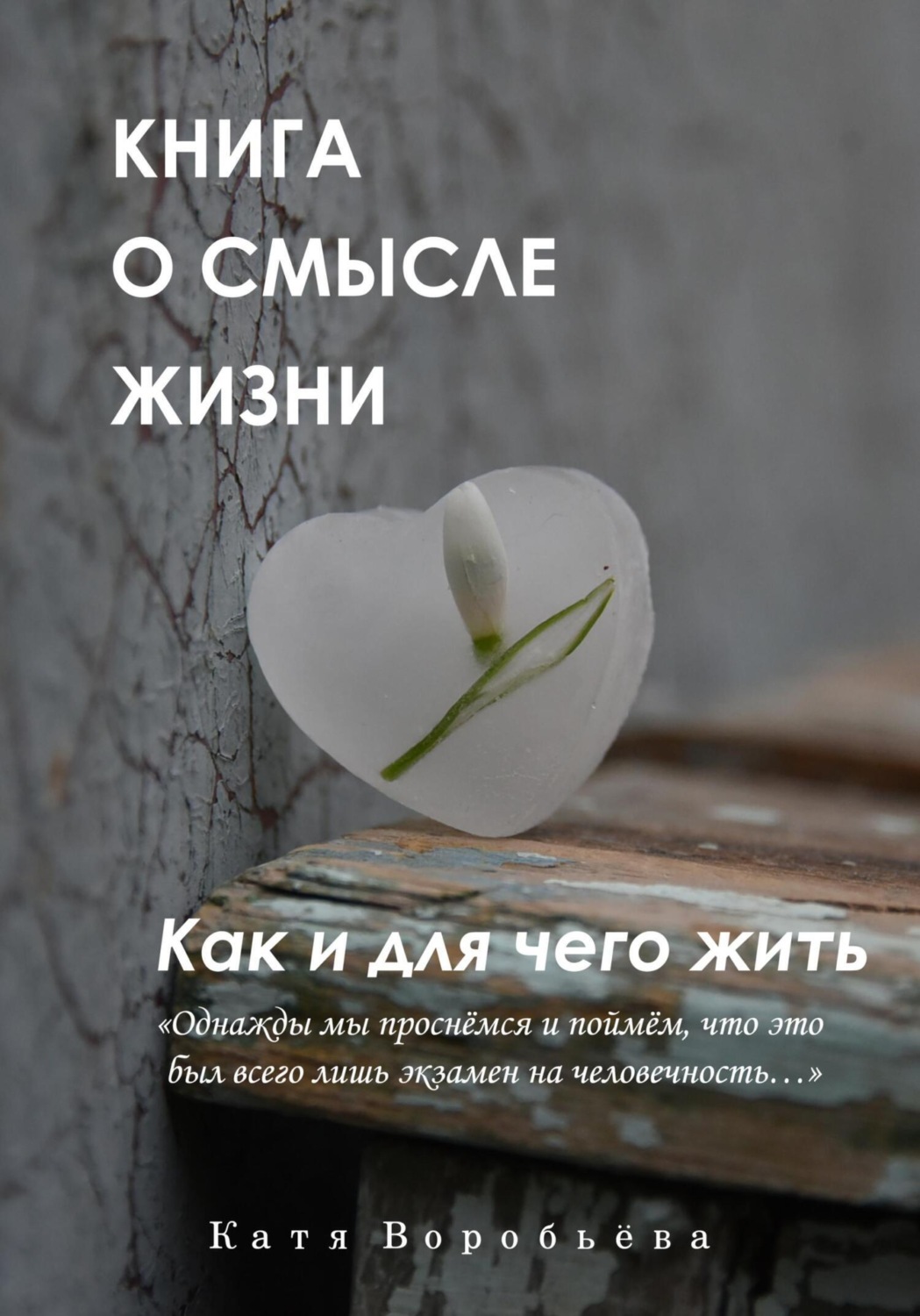 Обложка книги «Книга о смысле жизни. Как и для чего жить»
