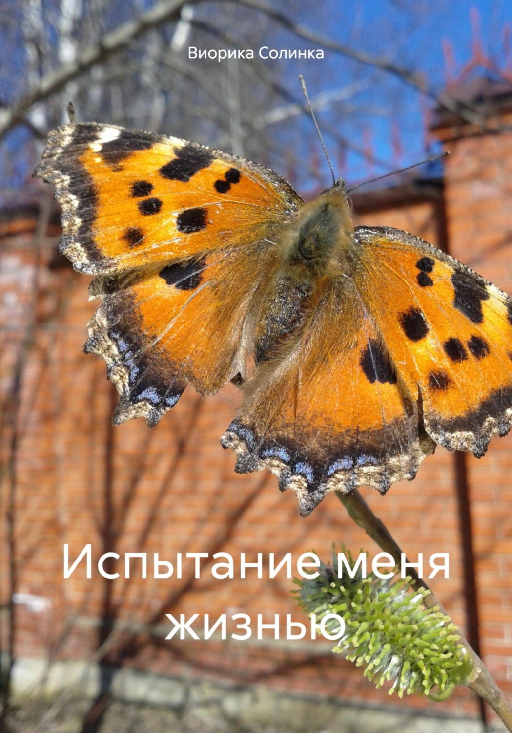 Обложка книги «Испытание меня жизнью»