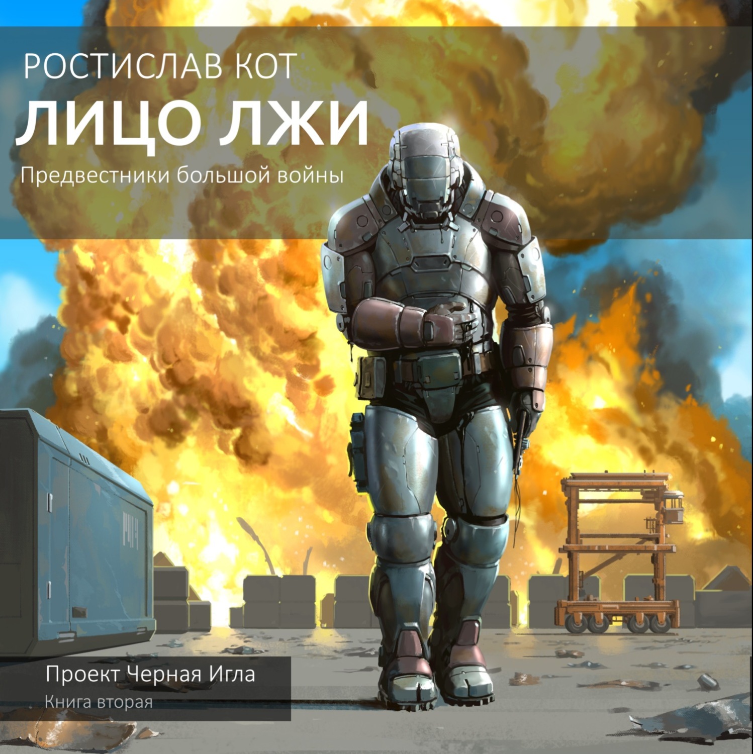 Обложка книги «Лицо лжи»