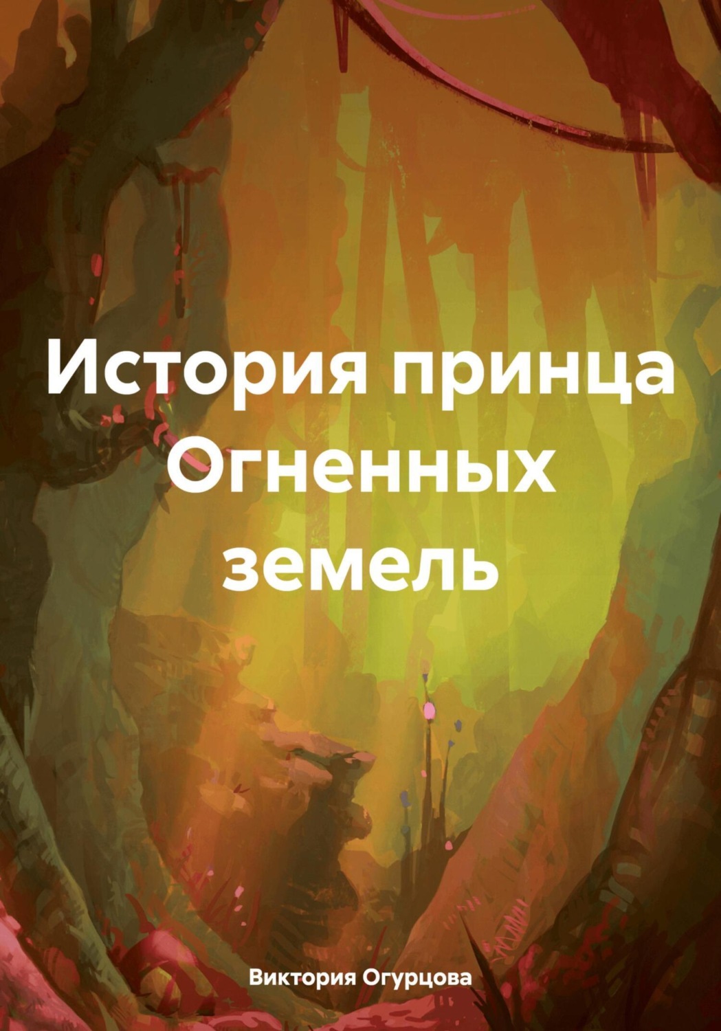 Обложка книги «История принца Огненных земель»
