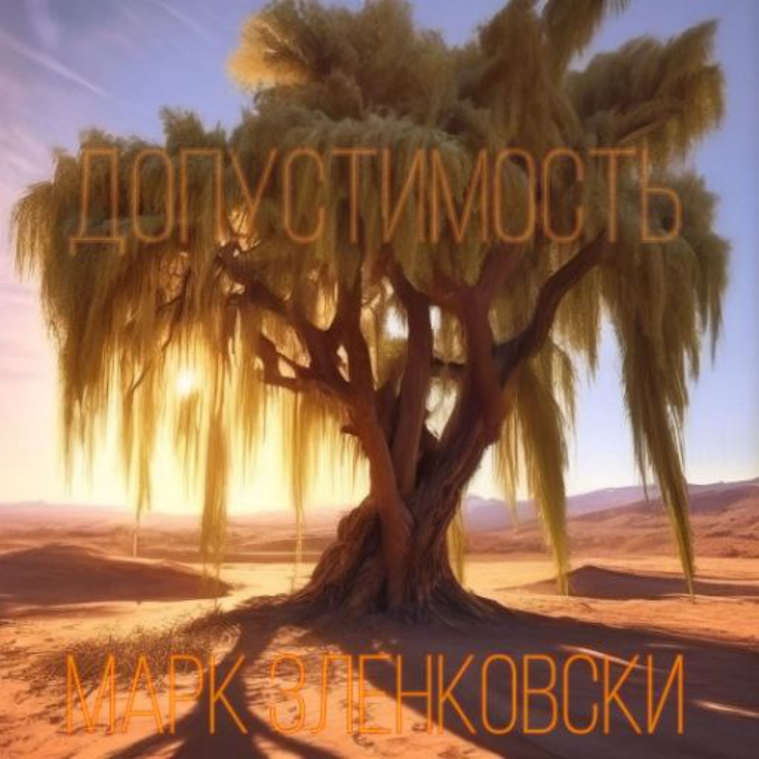 Обложка книги «Допустимость»