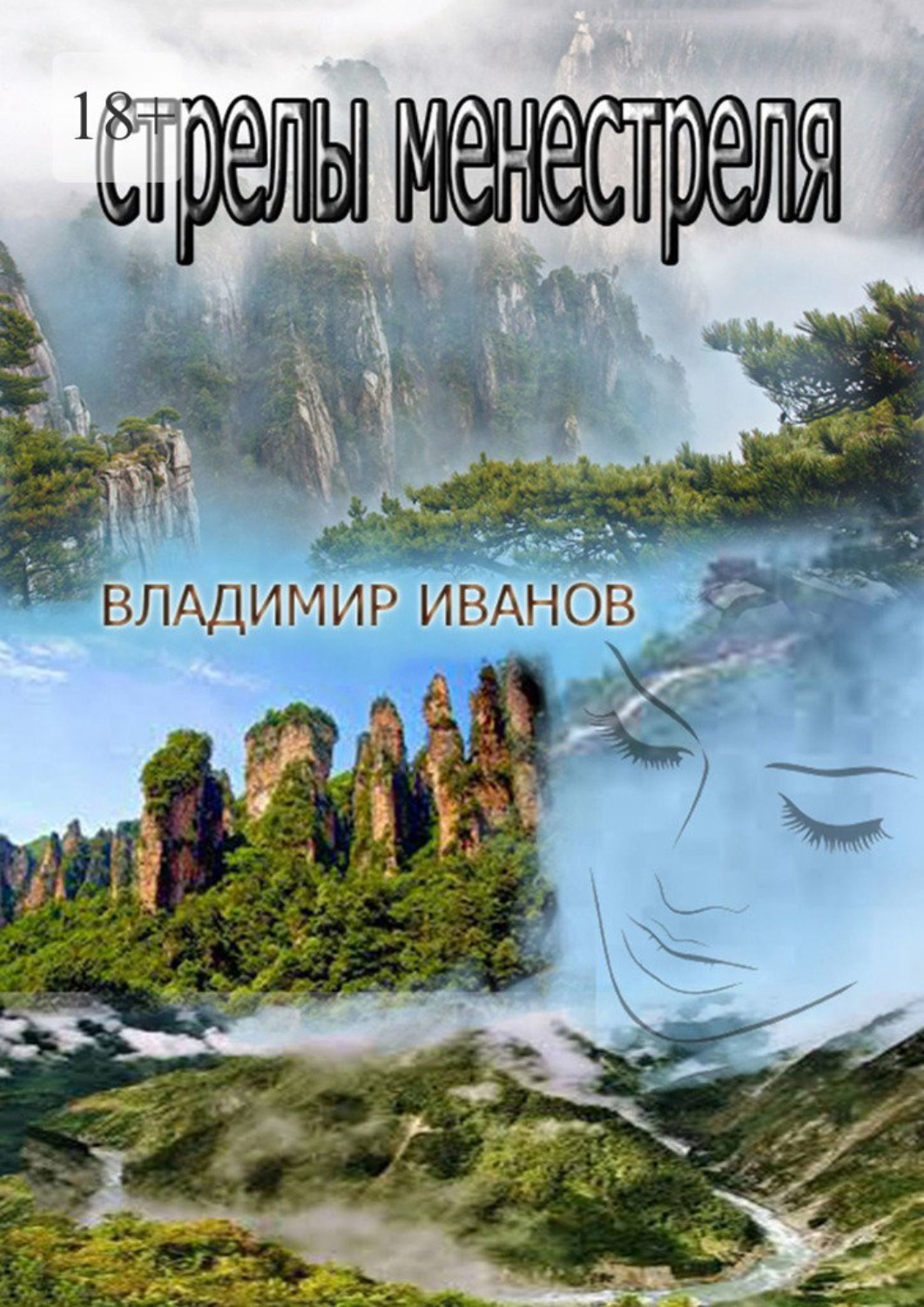 Обложка книги «Стрелы менестреля»