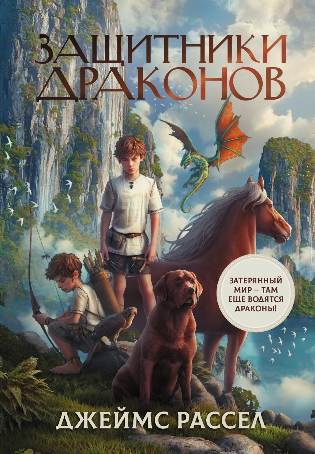 Обложка книги «Защитники драконов»