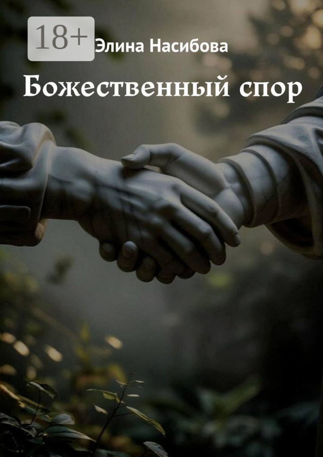 Обложка книги «Божественный спор»